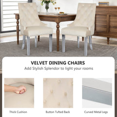 MyDepot Dining Chairs
VELVET DINING CHAIRS