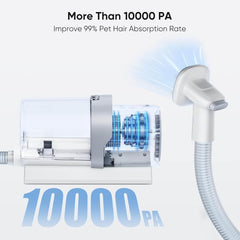 MyDepot Pet Shaver
More Than 10000 PA