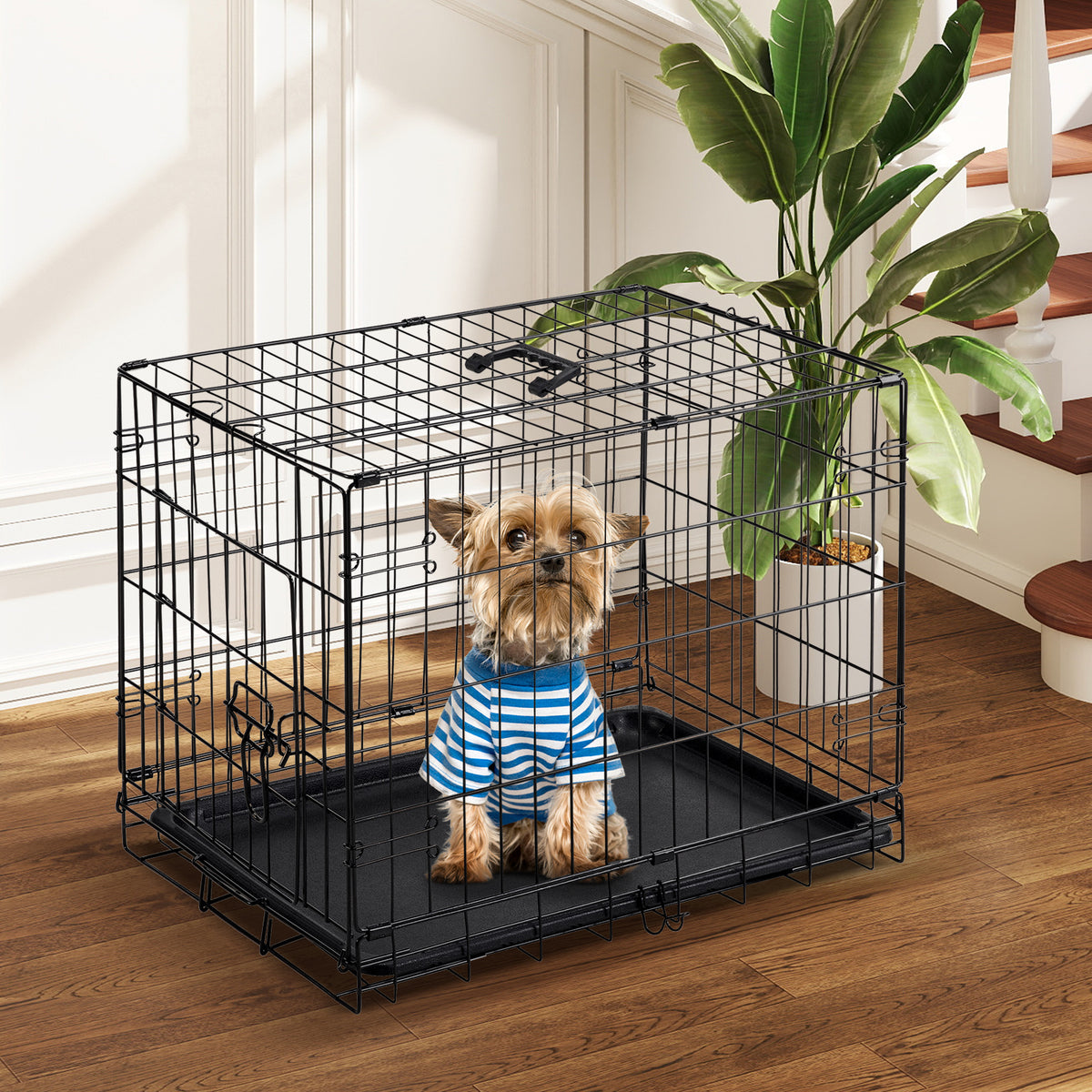 MyDepot Single Door Dog Crate, Metal Pet Kennel with Secure Lock, Foldable Design, Removable Tray for Easy Cleaning, Portable Puppy Cage for Small Dogs, Ideal for Training & Travel