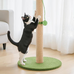 MyDepot 33" Cat Scratching Post for Indoor Cats, Cat Scratcher Scratching Posts with Dangling Ball for Adult, Palm Tree Cat Scratch Post for Kittens, Green